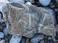 Brauner Stein mit dünner weißen Maserung und dunklem Streifen